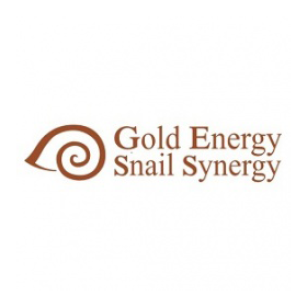 Gold Energy Snail Synergy