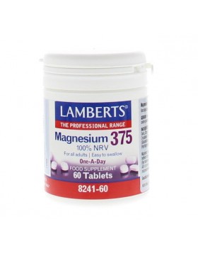 Lamberts Magnesium 375 One-A-Day 60 Tabs | Υποστήριξη Μυών & Νευρικού Συστήματος