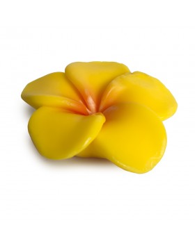 Pokhara Bar Soap 105g “Κανέλα” – Αρωματικό σαπούνι με ζεστό άρωμα κανέλας για καθημερινό καθαρισμό και τόνωση της επιδερμίδας