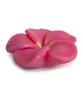 Pokhara Bar Soap 105g “Peony” – Αρωματικό σαπούνι με νότες παιώνιας για απαλό καθαρισμό και φυσική φροντίδα της επιδερμίδας