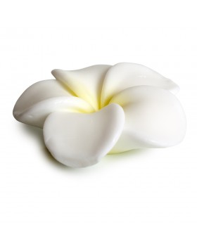 Pokhara Bar Soap 105g “Γαρδένια” – Απαλό σαπούνι με άρωμα γαρδένιας για βαθύ καθαρισμό και φροντίδα της επιδερμίδας