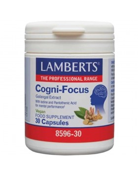 Lamberts Cogni-Focus 30 Κάψουλες | Συμπλήρωμα για Μνήμη, Συγκέντρωση & Πνευματική Ενέργεια