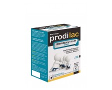 Frezyderm Prodilac Immuno Shield Start Συμπλήρωμα διατροφής με 2 Προβιοτικά, Πρεβιοτικό, Βιταμίνη C & Βιταμίνη D 10 φακελάκια