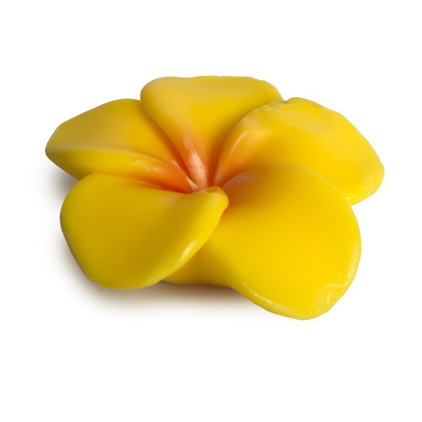 Pokhara Bar Soap 105g “Κανέλα” – Αρωματικό σαπούνι με κανέλα για καθαρή, απαλή και τονωμένη επιδερμίδα