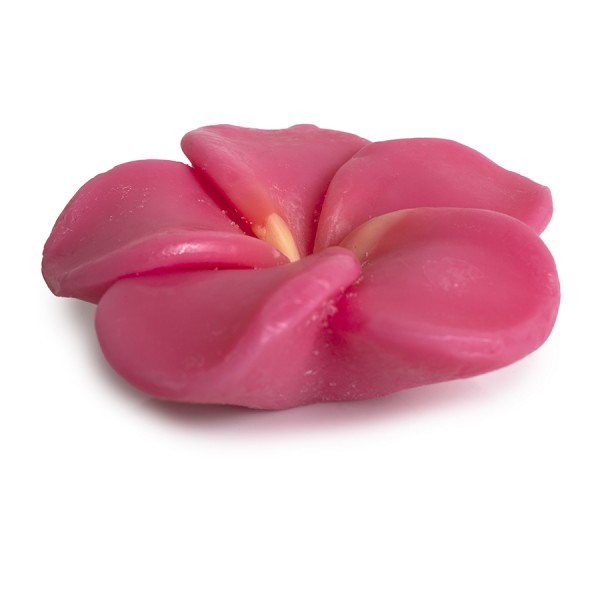Pokhara Bar Soap 105g Peony – Απαλό σαπούνι με νότες παιώνιας για φροντίδα και αρωματισμό της επιδερμίδας