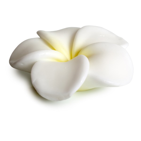 Pokhara Bar Soap 105g “Γαρδένια” – Αρωματικό σαπούνι με άρωμα γαρδένιας για απαλή και φροντισμένη επιδερμίδα