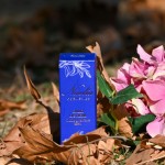 Naelia Caviar Eye Cream – Αντιρυτιδική κρέμα ματιών με εκχύλισμα χαβιαριού 30ml