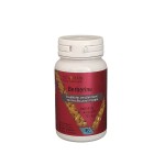 Vitamain Berberine 750mg 30 κάψουλες συμπλήρωμα διατροφής για λιπιδαιμικό προφίλ και μεταβολισμό